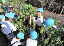 DSC08670.JPG
