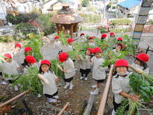 DSC08737.JPG