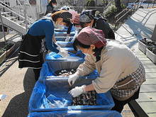 DSC08835.JPG