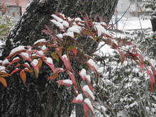 DSC09753.JPG