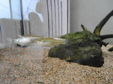 DSC09755.JPG