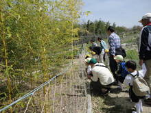 DSC09831.JPG
