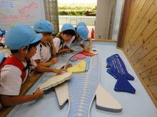 DSC000710.JPG
