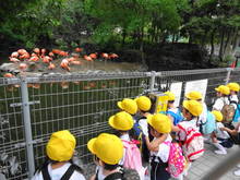 DSC01806.JPG