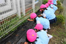 0007.JPG