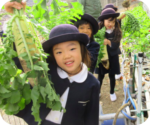 教育プログラム－環境プログラム