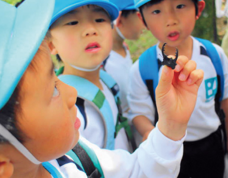 全員で取り組む環境プログラム