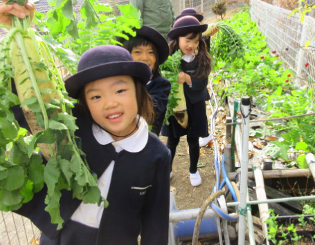 全員で取り組む環境プログラム